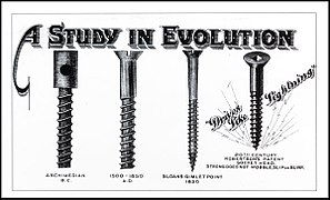 special screw head types