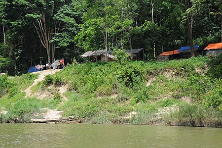 Fail:Rumah suku Bateq di Taman Negara 138.jpg