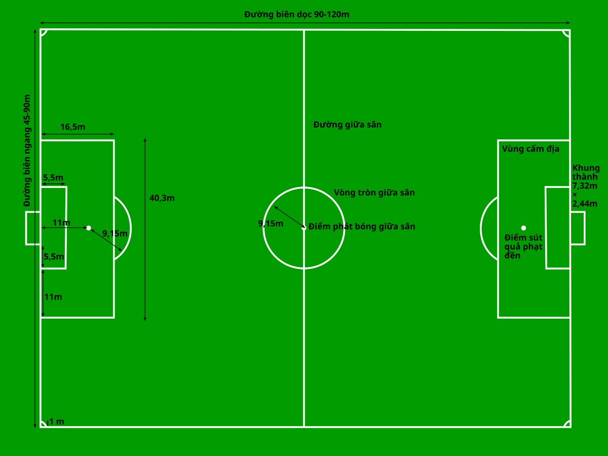 Diện Tích Sân Bóng Đá: Tất Tần Tật Về Kích Thước Và Tiêu Chuẩn Quốc Tế