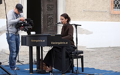 Pianistengasse 2014: SAEDI