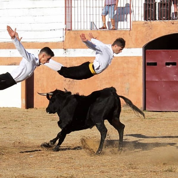 File:Salto del Ángel en Alcántara.jpg