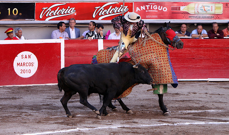 File:San marcos bullfight 13.jpg