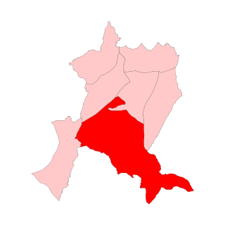 <span class="mw-page-title-main">Satakha Assembly constituency</span> Legislative Assembly constituency in Nagaland State, India