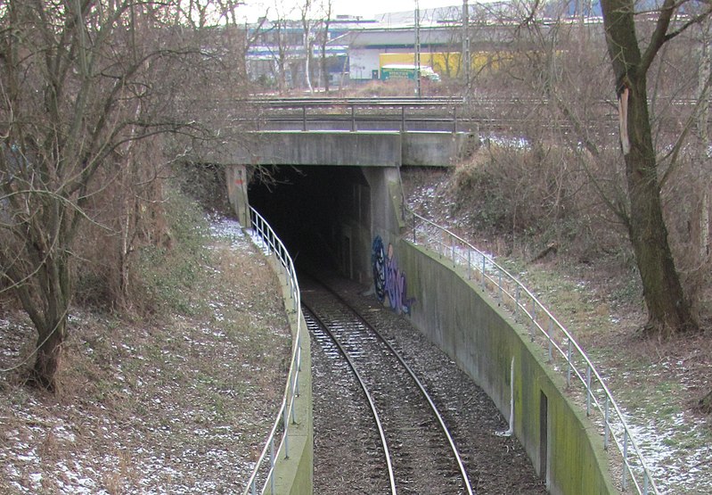 File:Schibli Tunnel Nordportal croped.jpg