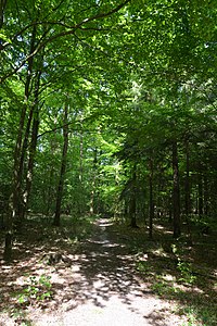 Schleswig-Holstein, Schwabstedt, Naturerlebnisraum NIK 6771.jpg