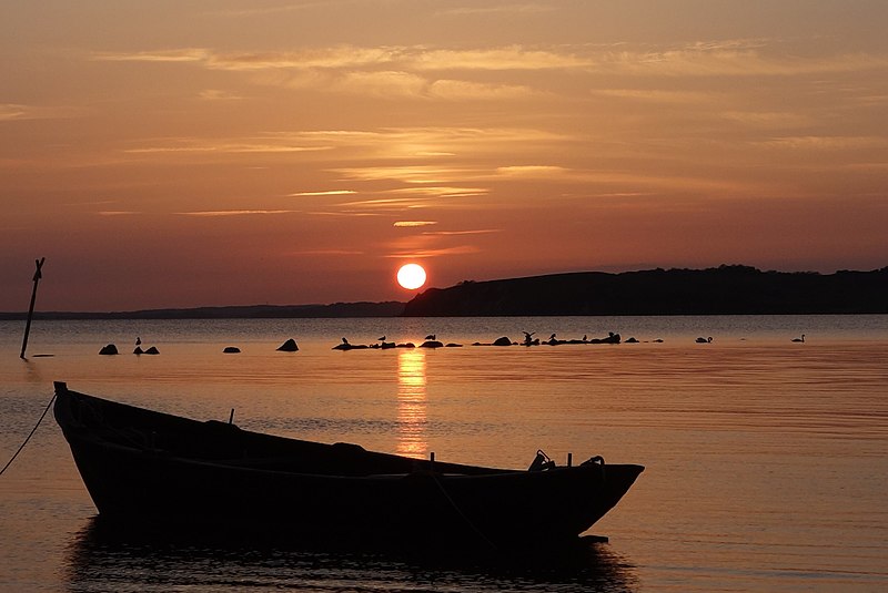 File:Seevögel vor der untergehenden Sonne.JPG