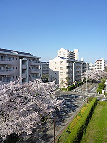 Shin-Hasunen lähiötä