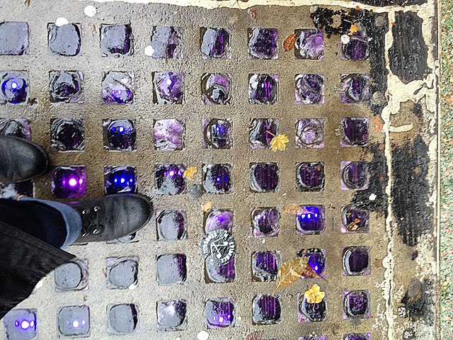 view down onto a sidewalk with vault lights; a slab of concrete with a regular grid of inset squares of slightly domed purple glass. Within each square, faint vertical lines can be seen through the glass, and points of light shining up through the glass are duplicated in horizontal lines of three points of light. Some yellow leaves have fallen on the damp concrete.