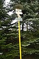 Čeština: Turistický rozcestník ve Svojšicích, Petrovice u Sušice, okr. Klatovy. English: Signpost in Svojšice, Petrovice u Sušice, Klatovy District.