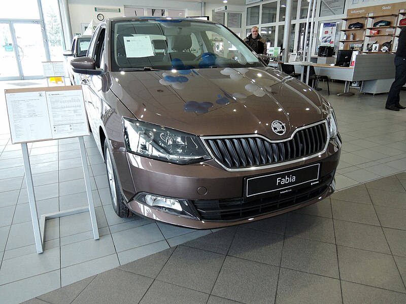 File:Skoda Fabia III Topaz Brown.JPG