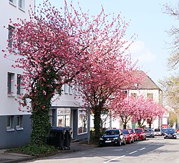 Talstraße in Solingen