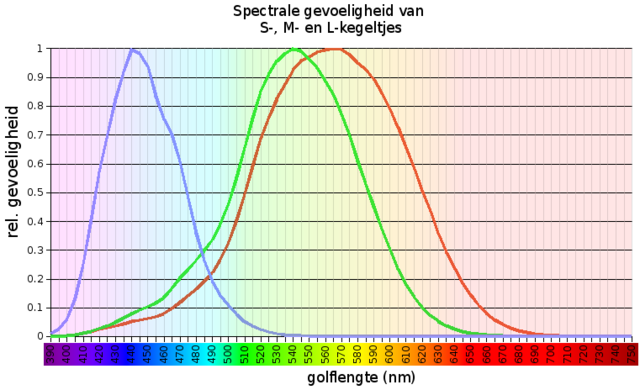 zien Wikipedia