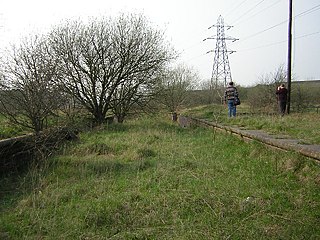 <span class="mw-page-title-main">Staveley Works railway station</span> Former railway station in Derbyshire, England