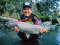 Regenboogforel (steelhead)