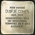 Stolperstein für Duifje Cohen (Rotterdam-Zuid).jpg