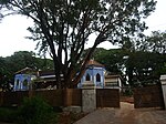 Sunaparanta, Goa Centre for the Arts 11.JPG