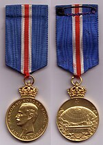 Thumbnail for South Pole Medal