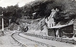 <span class="mw-page-title-main">Symonds Yat railway station</span> Former railway station in Herefordshire, England