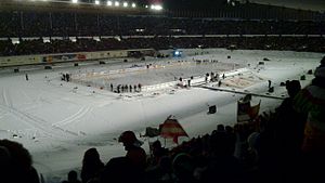 Ice Hockey