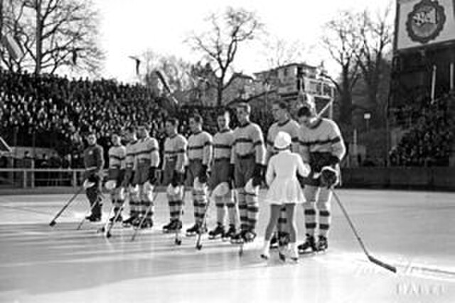 Finland national team at the 1939 World Championships