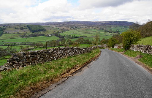 The road down Reels Head - geograph.org.uk - 1852860
