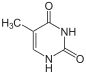 Chemical structure of thymine