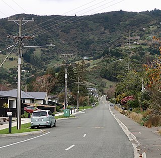 <span class="mw-page-title-main">Todds Valley</span> Township in Nelson, New Zealand