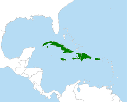 Az elterjedési területetük a Nagy-Antillák
