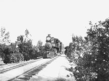 Southern Pacific Railroad train running through the tracks in an orange grove in Riverside, California, c. 1910 Train in citrus groves in Riverside, California (CHS-1636).jpg