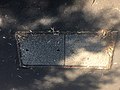 Transact communications manhole covers Ross Street Glebe NSW.jpg
