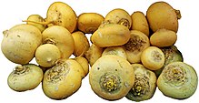 Turnips pile.jpg