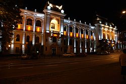 Univ Al I Cuza Iaşi at night.jpg