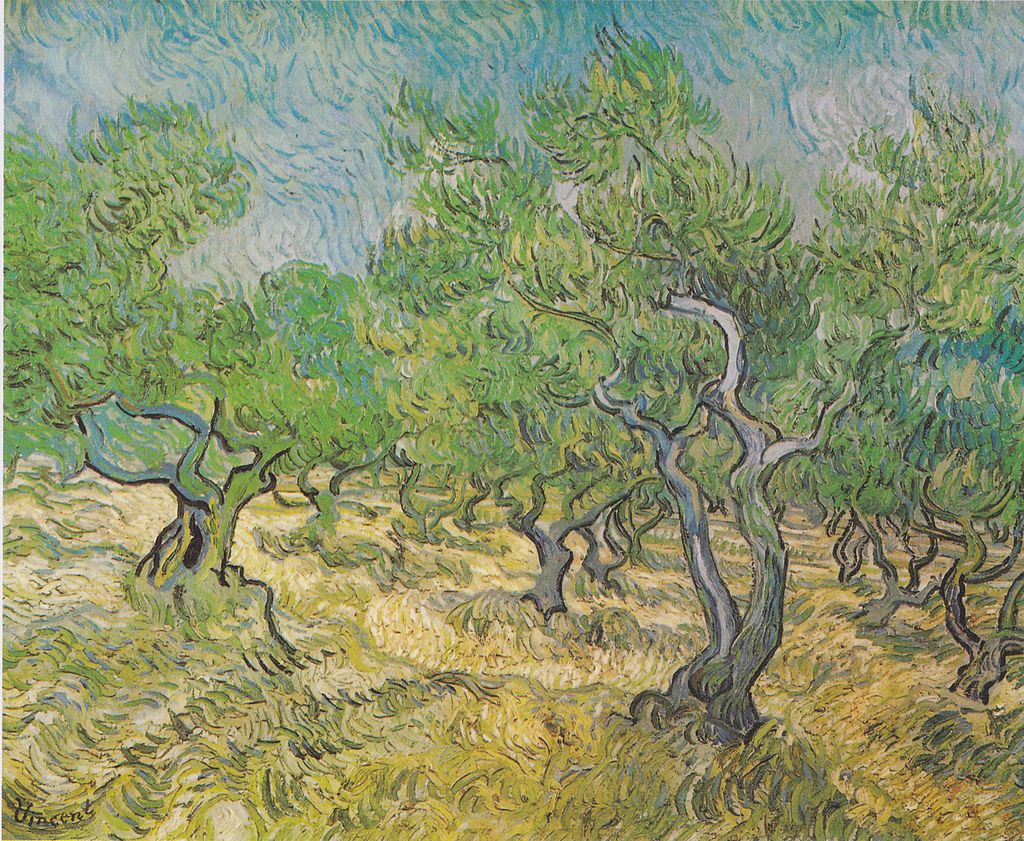 Van Gogh - Olivenhain1.jpeg