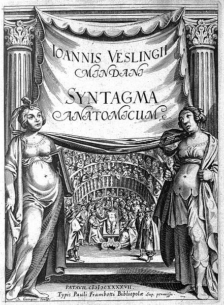 File:Vesling "Syntagma..."; 1647; engraved frontispiece Wellcome L0008122.jpg