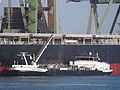 Victoria (ship, 2005) , ENI 02327269, Port of Rotterdam.JPG