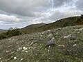 Il versante occidentale del Monte Vitalba visto dal percorso Sassi Bianchi Trekking.