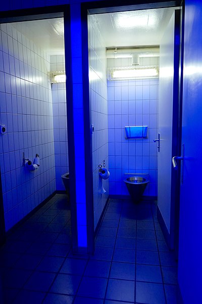 File:WC publics Espacité-04.jpg