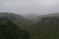 Waikato hills mist.jpg