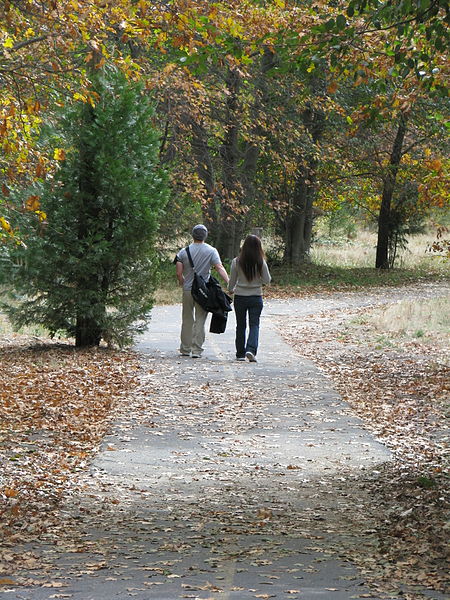 File:Walking in Yosemite (3021301378).jpg