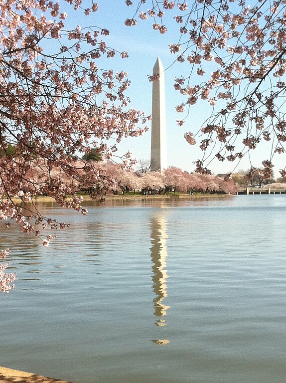 National Cherry Blossom Festival - Wikipedia