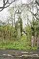 Čeština: Kříž v Cihelně, Hlavňovice, okr. Klatovy. English: Wayside cross in Cihelna, Hlavňovice, Klatovy District.