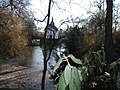 moated castle, Weißhaus - summer residence of abbess St. Pantaleon