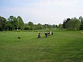 Woodcote Park Golf Club - geograph.org.uk - 419517.jpg