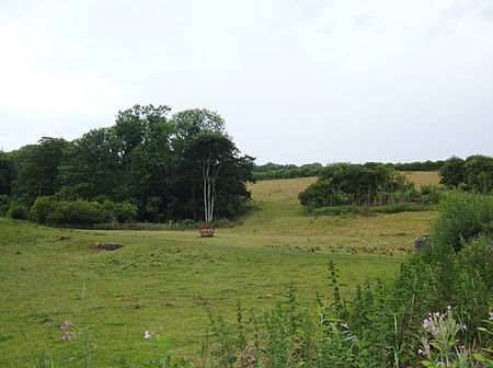 The site of the medieval village of Wothersome Wothersome - Site of Medieval Village.jpg