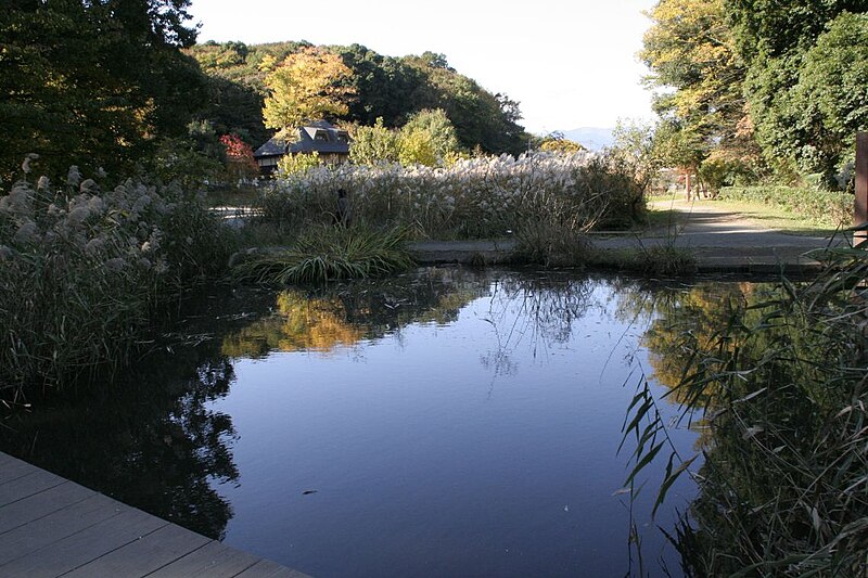 File:Yatoyama-lake.jpg