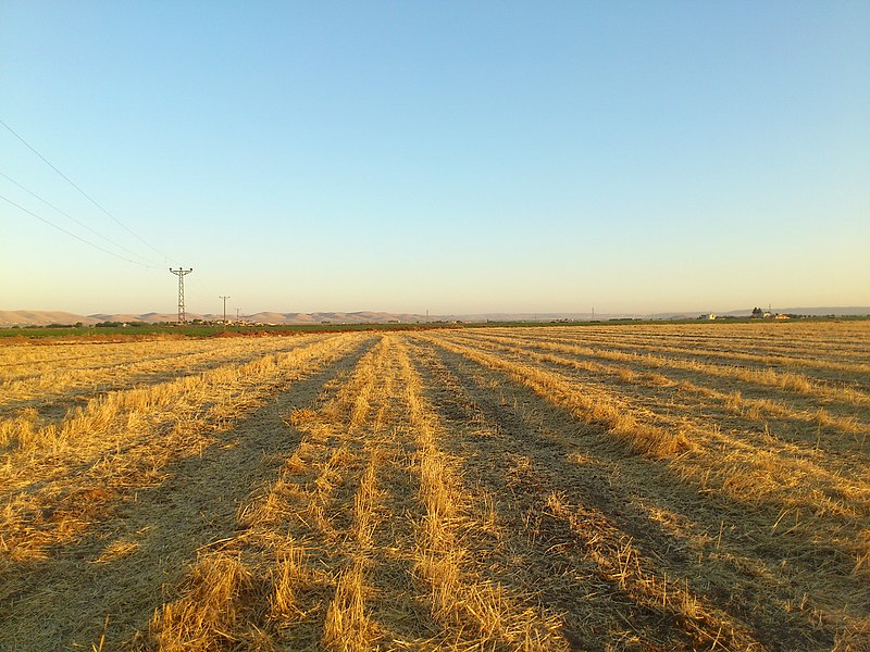 File:Yediyol köyü şanlıurfa - panoramio.jpg