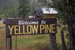 Miniatura para Yellow Pine (Idaho)