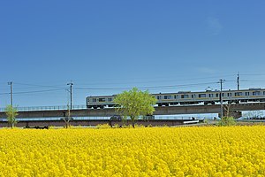 Yellow Train - panoramio.jpg