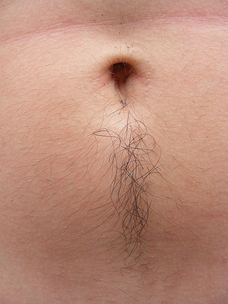 belly button female hair