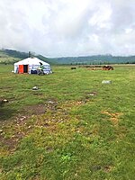 Yurt locals